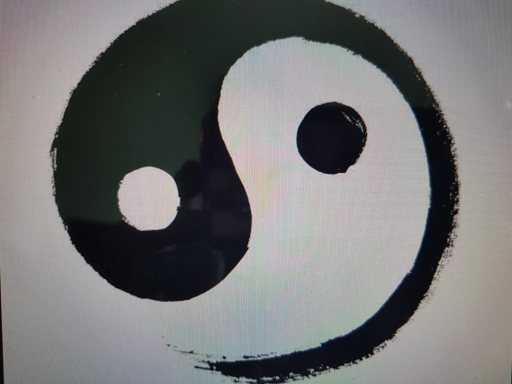 Yin / Yang is a Taoist concept that refers to the idea of light and dark, s...